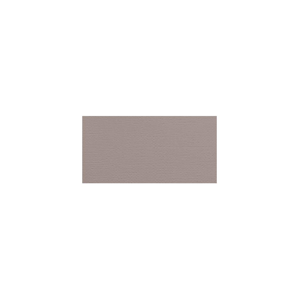 AC Cardstock - Nickel